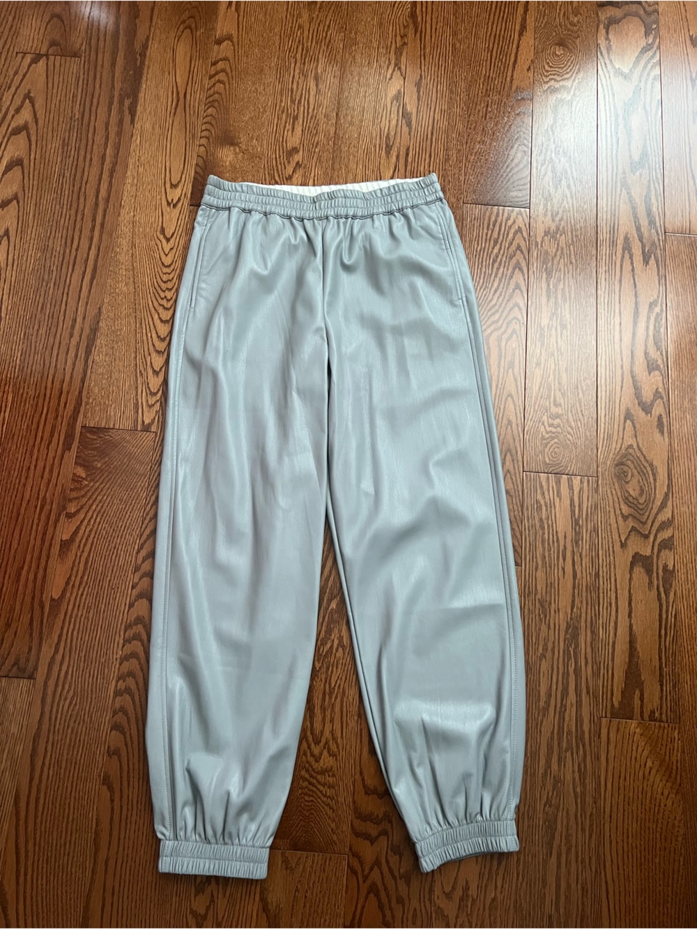 Aritzia Babaton Faux Leather Joggers